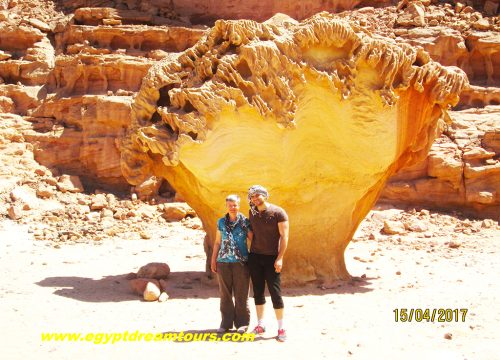 Dream tour sinai