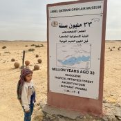 The largest petrified-Forest in the World