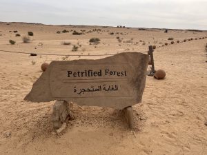 The largest petrified-Forest in the World