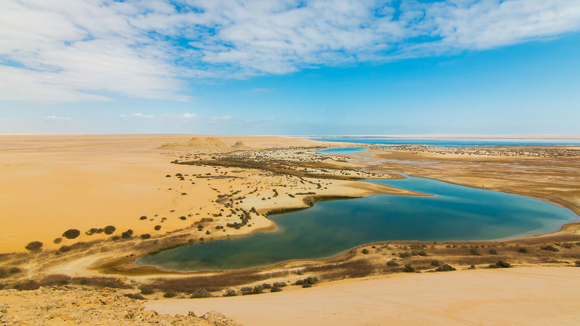 Al Fayoum