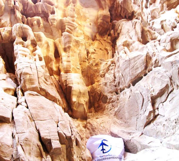 Dream tour sinai