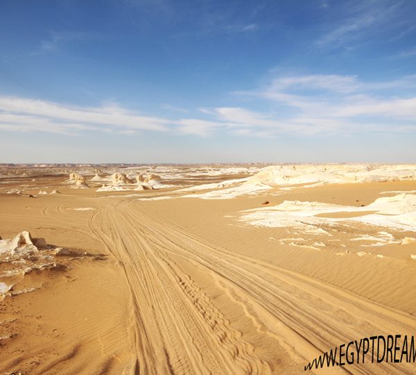 unveil secrets of Saharah desert in 8 days