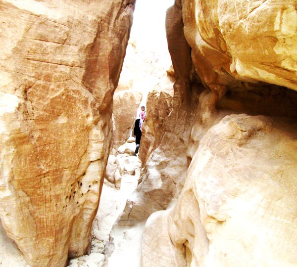 Dream tour sinai