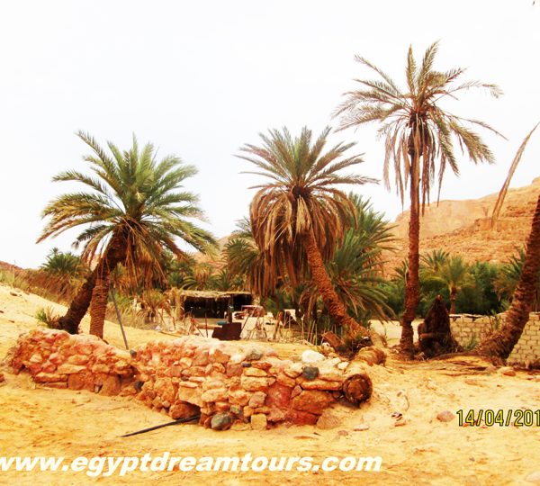 Dream tour sinai