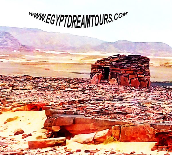 Dream tour sinai