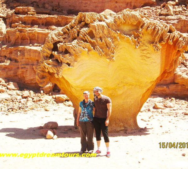 Dream tour sinai