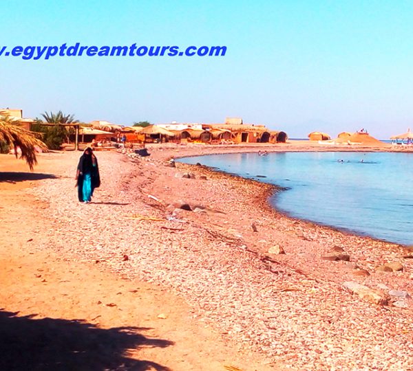 Dream tour sinai