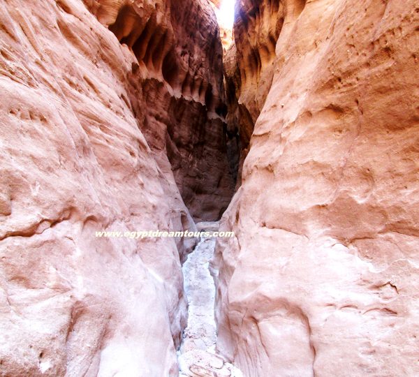 Dream tour sinai