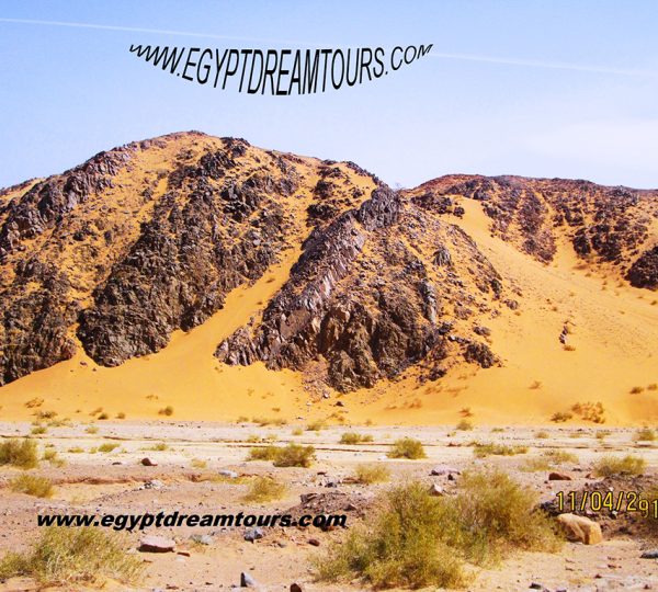 Dream tour sinai