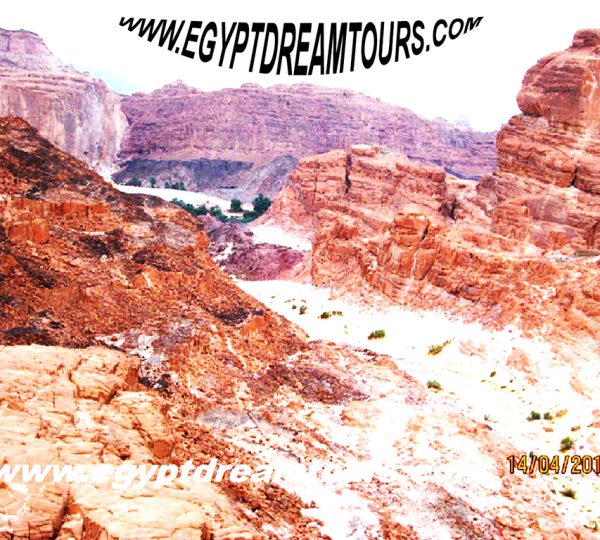 Dream tour sinai