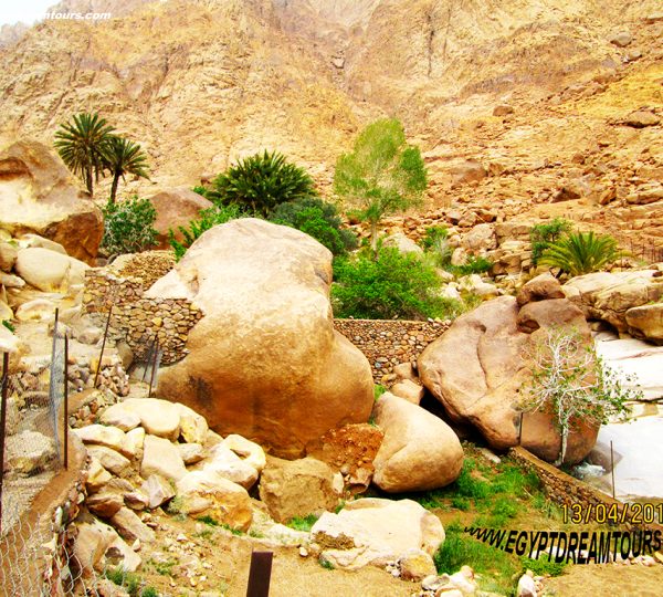 Dream tour sinai