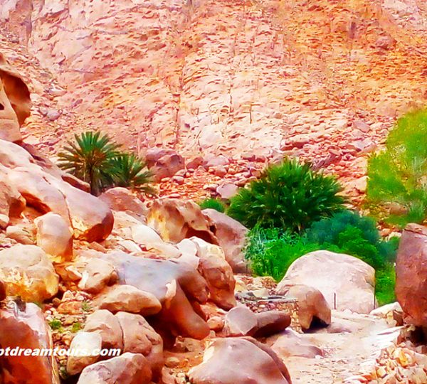 Dream tour sinai