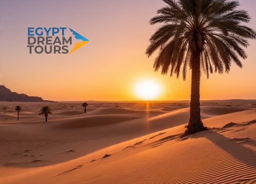 Dream tour sinai