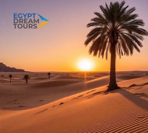 Dream tour sinai