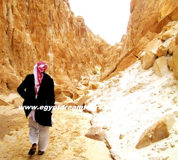 Dream tour sinai